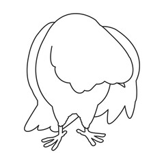 Dove vector outline icon. Vector illustration pigeon on white background. Isolated outline illustration icon of dove .