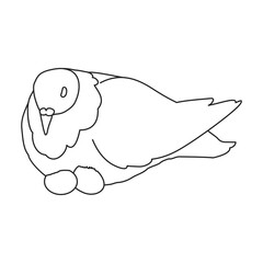 Dove vector outline icon. Vector illustration pigeon on white background. Isolated outline illustration icon of dove .