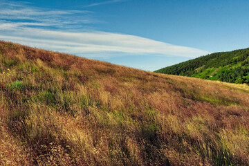 Cévennes, les crêtes
