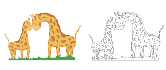 Naklejki  Outline illustration of a mother giraffe and a baby giraffe for coloring on the right side and such an illustration in color on the left side. Children's illustration for coloring.