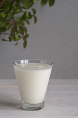 A full glass of kefir on a light background. A flower in a pot in the background.