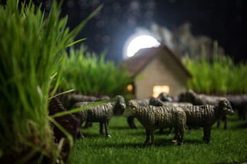 Sheep in the farm. Farm (village) life concept. Decorative toy figures at night. Selective focus