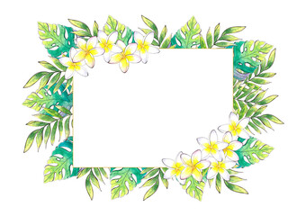 Hand drawn watercolor summer botanical frame with florers and branches