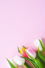 Multicolored bouquet of tulips on pink background. Minimal floral flat lay, top view. Valentines and romantic background.