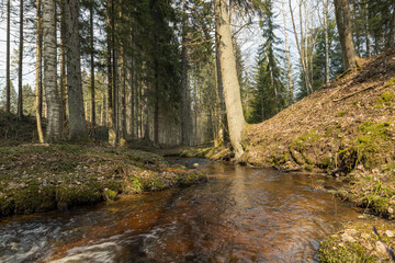 Obraz premium Cascade falls over mossy rocks in spring