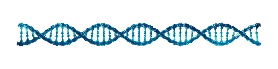 Double helix DNA molecule isolated on white background.  Molecular genetics and Genetic engineering. 