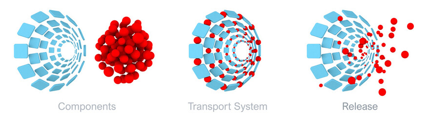 Iron isomaltoside transport system scheme. A novel intravenous iron oligosaccharide for treatment of iron deficiency in patients with chronic diseases. 3D rendering medical illustration