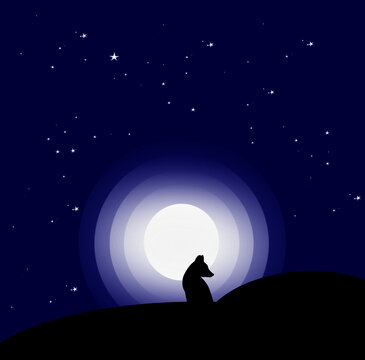 This is an image of fox with moonlight night vector background.