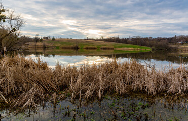 evening scene on wild lake in spring evening