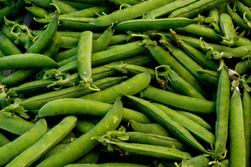 Judías verdes en vaina mercado de primavera