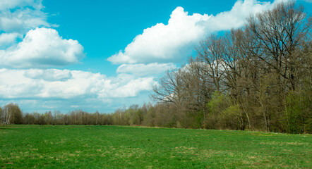 spring landscape