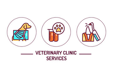Veterinary clinic services color line icons concept. Isolated vector element. Outline pictograms for web page, mobile app, promo