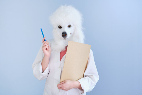 Young Woman In A Latex Dog Head Mask And White Coat Holding A Pen And A Medical Report On A Blue Background. Doctor Medical Veterinary Concepts.