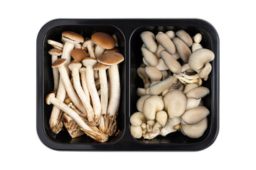 Mushrooms in a black container on a white background. Fresh mushrooms in a plastic container close-up. - Powered by Adobe