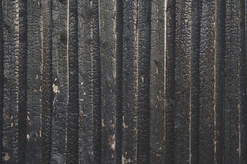 Black wooden texture background of burned wood. Wood texture after fire
