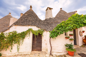 White trulli buildings and grape vine. Alberobello and rainy weather. Apulia, Italy