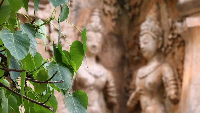Wat Chet Yot, seven pagoda temple in Chiangmai 