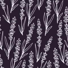 Fototapeta premium lavender