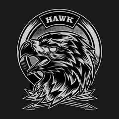 Vector illustration of angry eagle isolated on black background.