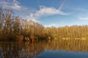 Ruhiger Fischteich im Abendlicht