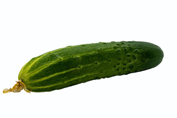 green ripe cucumber fruit on a white background close up