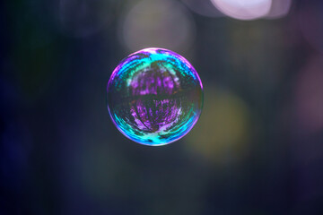 soap bubbles flying on blur background