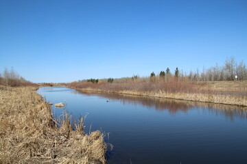 April On The Water, Pylypow Wetlands, Edmonton, Alberta