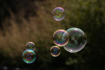 Spring bubbles flying in the garden, fun with kids