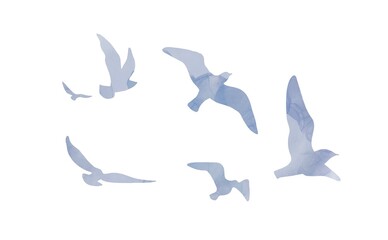 white doves in blue