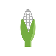 Corn flat icon, vegetable and mazie. Corn Flat Design Vegetable Icon