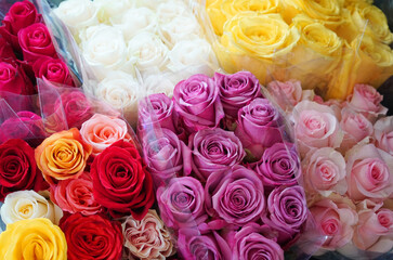 bouquets of rose flowers with different color