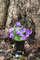 a bouquet of violets in a vase
