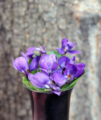 a bouquet of violets in a vase
