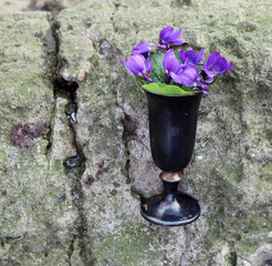 a bouquet of violets in a vase
