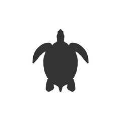 silhouette of a sea turtle. vector icon