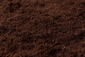 Peat soil for planting seedlings of flowers, ovary close-up. Natural peat from the swamps. Selective focus