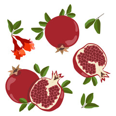 Vector pomegranates. Set of fresh whole, half, sliced ​​pomegranate fruits, flowers, leaves isolated on a white background. Summer fruits for a healthy lifestyle. Organic fruits. Cartoon style.