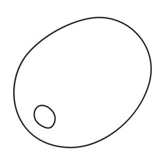 Kiwi fruit vector outline icon. Vector illustration kiwifruit on white background. Isolated outline illustration icon of kiwi fruit .