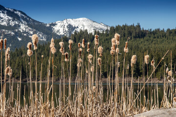 Fototapeta premium Lake Easton State Park in Washington State on an Early Spring Morning