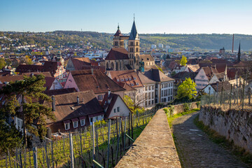 Blick von der Esslinger Burg auf die Altstadt mit der frühgotischen Stadtkirche St. Dionys