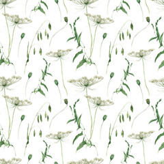 Watercolor wildflowers seamless pattern on white background.