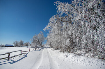 Winter snow forest trail view. Snowy winter forest road