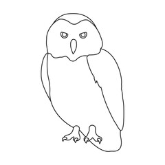 Owl vector outline icon. Vector illustration bird on white background. Isolated outline illustration icon of owl .