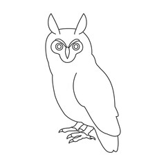 Owl vector outline icon. Vector illustration bird on white background. Isolated outline illustration icon of owl .