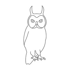 Owl vector outline icon. Vector illustration bird on white background. Isolated outline illustration icon of owl .