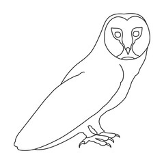 Owl vector outline icon. Vector illustration bird on white background. Isolated outline illustration icon of owl .