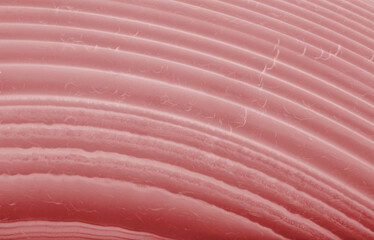 lined redcstructure closeup of agate