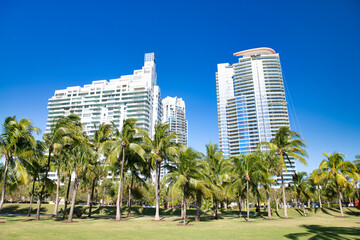 Obraz premium Miami Beach skyscrapers with blue sky from South Pointe Park, Florida