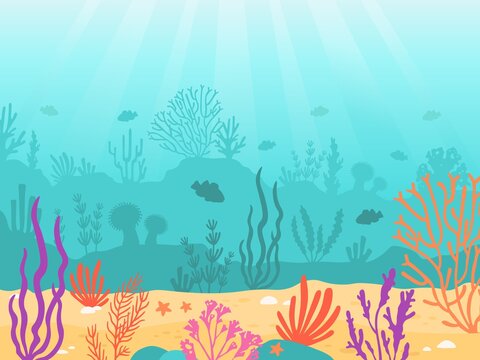 images of cartoon coral