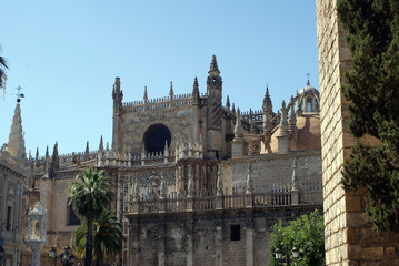 Obraz premium Cattedrale Siviglia